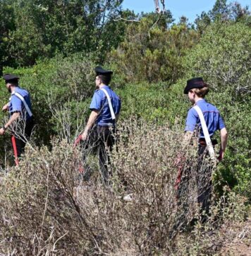 Un inseguimento lungo la Litoranea si trasforma in una fuga a piedi nella Tenuta di Castel Porziano: per l'uomo alla guida dello scooter rubato scatta l'arresto da parte dei Carabinieri in servizio di vigilanza
