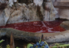 Cerveteri in festa per la Sagra dell’Uva e del Vino dei Colli Ceriti: poker di concerti e di spettacoli gratis