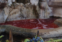 Cerveteri in festa per la Sagra dell’Uva e del Vino dei Colli Ceriti: poker di concerti e di spettacoli gratis