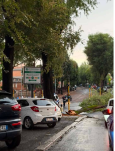 Roma travolta da incendi, bombe d’acqua e crolli di alberi: diversi quartieri nel caos (VIDEO E FOTO) 1 Roma travolta da incendi, bombe d’acqua e crolli di alberi: diversi quartieri nel caos (VIDEO E FOTO) 1
