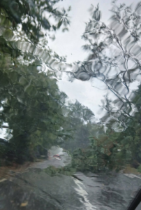 Finimondo sulla via Tiberina, bomba d’acqua e alberi spezzati: circolazione stradale a rischio 2