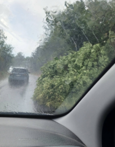 Finimondo sulla via Tiberina, bomba d’acqua e alberi spezzati: circolazione stradale a rischio 1