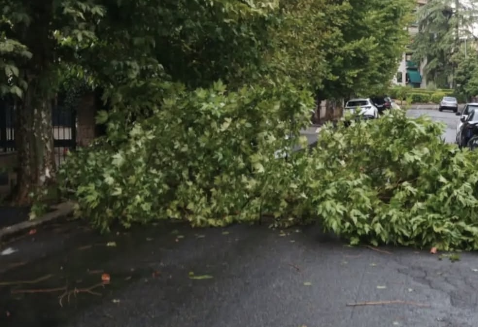 Poca pioggia ma vento furioso su Roma e Tivoli: alberi caduti, strade bloccate e paura sulla A24  3