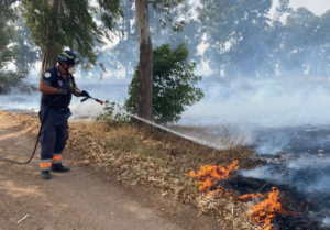 Incendio ad Ardea divora un maneggio ed ettari di vegetazione: acqua anche dall’elicottero 2