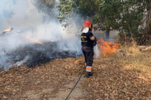Incendio ad Ardea divora un maneggio ed ettari di vegetazione: acqua anche dall’elicottero 1