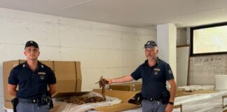 Un controllo di routine della Polizia a Spinaceto porta a un ingente sequestro di tabacco: oltre una tonnellata di merce non tracciata, attrezzature per il confezionamento e dormitori abusivi