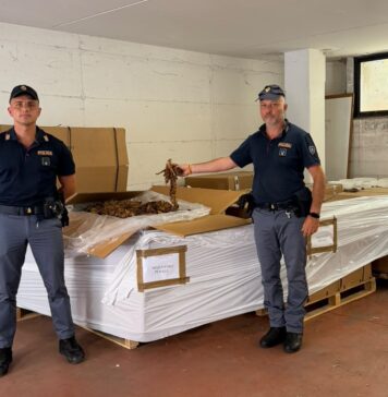 Un controllo di routine della Polizia a Spinaceto porta a un ingente sequestro di tabacco: oltre una tonnellata di merce non tracciata, attrezzature per il confezionamento e dormitori abusivi