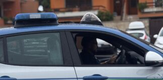 ladispoli accoltellamento