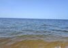 Il Comune rassicura i bagnanti sul mare marrone: "E' il fenomeno dell'Acqua cotta". Ma restano i dubbi dei cittadini sui depuratori