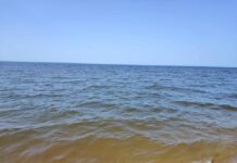 Il Comune rassicura i bagnanti sul mare marrone: "E' il fenomeno dell'Acqua cotta". Ma restano i dubbi dei cittadini sui depuratori