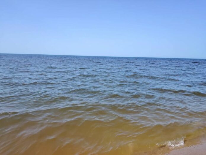 Il Comune rassicura i bagnanti sul mare marrone: "E' il fenomeno dell'Acqua cotta". Ma restano i dubbi dei cittadini sui depuratori