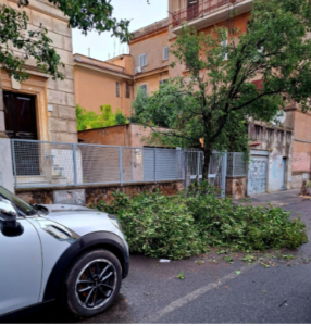 Roma travolta da incendi, bombe d’acqua e crolli di alberi: diversi quartieri nel caos (VIDEO E FOTO) 4 Roma travolta da incendi, bombe d’acqua e crolli di alberi: diversi quartieri nel caos (VIDEO E FOTO) 4
