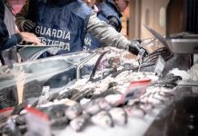 Pesce sequestrato e ottomila euro di sanzioni. E’ il primo bilancio dei controlli della Guardia Costiera sul mercato ittico di Civitavecchia, nell'ambito dell'operazione "Fair Fish Catch", avviata oggi su tutto il litorale laziale.