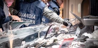 Pesce sequestrato e ottomila euro di sanzioni. E’ il primo bilancio dei controlli della Guardia Costiera sul mercato ittico di Civitavecchia, nell'ambito dell'operazione "Fair Fish Catch", avviata oggi su tutto il litorale laziale.