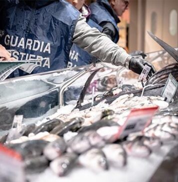 Pesce sequestrato e ottomila euro di sanzioni. E’ il primo bilancio dei controlli della Guardia Costiera sul mercato ittico di Civitavecchia, nell'ambito dell'operazione "Fair Fish Catch", avviata oggi su tutto il litorale laziale.