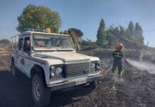 Un rogo ha richiesto l'impiego di diverse squadre per domare l'incendio ad Ardea e mettere in sicurezza la zona residenziale, seguito da operazioni di bonifica