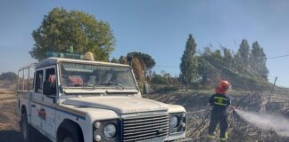 Un rogo ha richiesto l'impiego di diverse squadre per domare l'incendio ad Ardea e mettere in sicurezza la zona residenziale, seguito da operazioni di bonifica