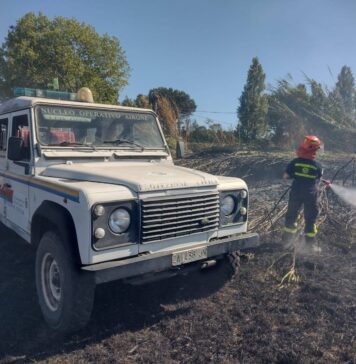 Un rogo ha richiesto l'impiego di diverse squadre per domare l'incendio ad Ardea e mettere in sicurezza la zona residenziale, seguito da operazioni di bonifica