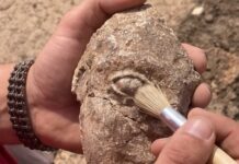Pyrgi - Etruscologia Sapienza