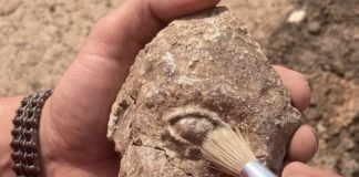 Pyrgi - Etruscologia Sapienza