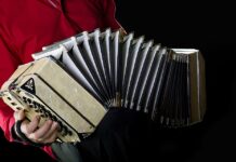 "Il respiro del bandoneon" porta alla Sala Consiliare di Ardea le musiche da film e il nuevo tango, con Cristiano Lui e l'ensemble d'archi