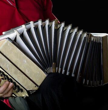"Il respiro del bandoneon" porta alla Sala Consiliare di Ardea le musiche da film e il nuevo tango, con Cristiano Lui e l'ensemble d'archi
