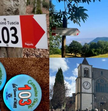 Cammino Tuscia 103, oltre 100 Km da Orte Scalo a Tarquinia: tappe, paesaggi, cosa vedere, cosa mangiare, info utili