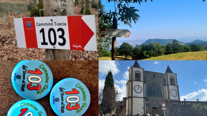 Cammino Tuscia 103, oltre 100 Km da Orte Scalo a Tarquinia: tappe, paesaggi, cosa vedere, cosa mangiare, info utili