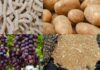 Sagre a Roma e nel Lazio dal 18 al 20 settembre 2026: vie del gusto, funghi porcini, patate e pizzarelle