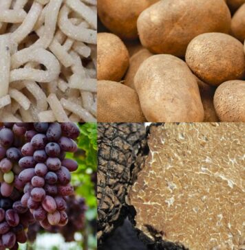 Sagre a Roma e nel Lazio dal 18 al 20 settembre 2026: vie del gusto, funghi porcini, patate e pizzarelle