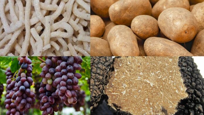 Sagre a Roma e nel Lazio dal 18 al 20 settembre 2026: vie del gusto, funghi porcini, patate e pizzarelle