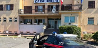 Finti giardinieri entrano in azione a Bracciano: 5 denunciati per truffa