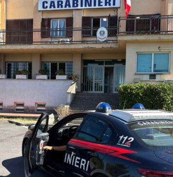 Finti giardinieri entrano in azione a Bracciano: 5 denunciati per truffa