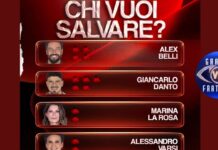 Grande Fratello Vip 9