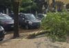 Maltempo a Roma, ramo cade fuori liceo a Coppedè: feriti 3 studenti