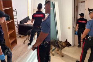Droga e armi, blitz dei carabinieri alle case popolari di Pomezia: 3 arresti e 6 denunce 1