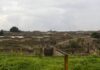 Pompei, si finge guida turistica e abusa di un 17enne in domus chiusa al pubblico: arrestato guardiano del Parco