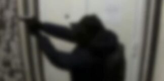 Legati, accecati e minacciati di mutilazione: presa la banda della rapina da 100mila euro a Monti