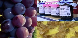 Sagre a Roma e nel Lazio dal 25 al 27 settembre 2026: tanti eventi tra uva, salsiccia e pastarella, more e polenta
