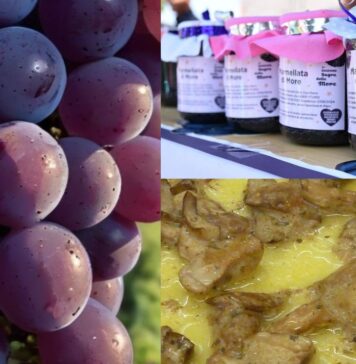 Sagre a Roma e nel Lazio dal 25 al 27 settembre 2026: tanti eventi tra uva, salsiccia e pastarella, more e polenta