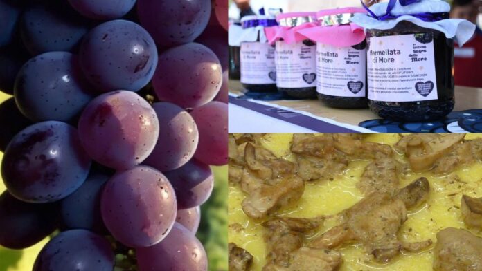 Sagre a Roma e nel Lazio dal 25 al 27 settembre 2026: tanti eventi tra uva, salsiccia e pastarella, more e polenta