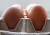 Salmonella sul guscio, richiamato anche lotto di uova Despar e Fattorie Natura Coop