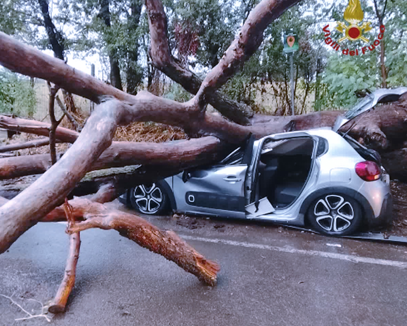 Roma travolta dal nubifragio: persone intrappolate nelle auto e nuovi crolli di alberi. Ferito un conducente (VIDEO) 1