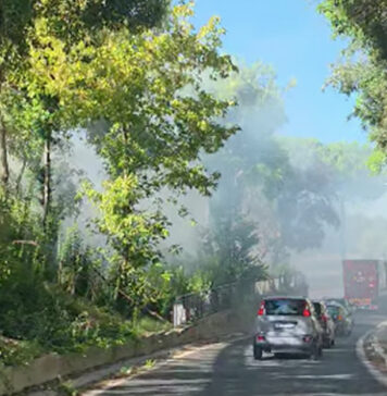 Fiamme sotto il Viadotto dei Presidenti: chiusure, miasmi tossici e rabbia per la scia di roghi senza fine Home 1