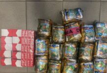 Contrabbando di tabacco dall'Algeria all'Italia: maxi sequestro al Porto di Civitavecchia