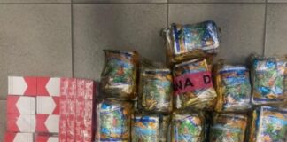 Contrabbando di tabacco dall'Algeria all'Italia: maxi sequestro al Porto di Civitavecchia