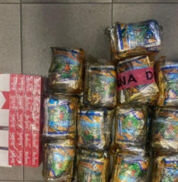 Contrabbando di tabacco dall'Algeria all'Italia: maxi sequestro al Porto di Civitavecchia