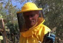 Muore fulminato il veterano degli apicoltori pontini: Valerio Piovesan aveva 78 anni