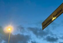 Riparte l'illuminazione pubblica di via Gianfilippo Usellini, nel Municipio Roma X: nuovi impianti LED per un investimento di circa 115 mila euro per restituire sicurezza al quartiere
