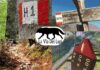 Via dei Lupi, cammino e trekking nel cuore dell' Appennino: tappe, distanze, cosa sapere